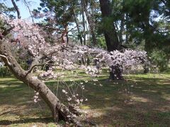 児童公園 (京都御苑内)