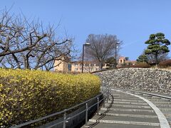 最終日は、笛吹川フルーツ公園で散歩をたのしみました。
桜は残念ながら1分咲きでしたが、この日も天候に恵まれ最高の景色を堪能しました。