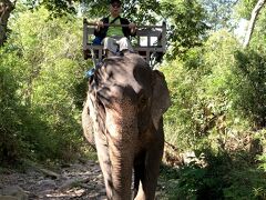 始めてゾウに乗りました。ゾウの一歩ごとの揺れに少々恐ろしさがあったのですが、５分もすると慣れてきました。ジャングルの中を歩き、メコン川で水浴びを行ってくれました。