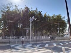 21初春 千葉 市川市八幡 ゆったり散策記 下総の総鎮守と人気ファミレス発祥の地 市川 千葉県 の旅行記 ブログ By Fidelioさん フォートラベル