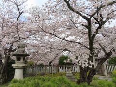 洛東にある天台宗のお寺　
真如堂に来ました