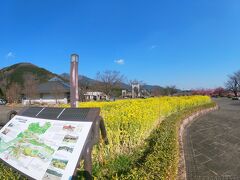 バスの発車時間までまだありますので公園を散策します。
