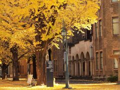 東京大学