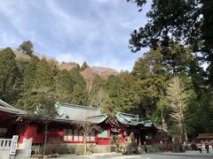 階段を上って、箱根神社の本殿。