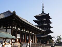 興福寺です。
国宝館に入館しました。金剛力士像、千手観音像、天燈鬼立像、龍燈鬼立像などの国宝、重要文化財があります。
中でも有名な阿修羅像が一番の見所です。初めて知りましたが八部衆立像の内の一体でした。いかにも折れそうな腕が美しいバランスを取ってました。