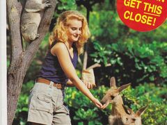 放し飼いのカンガルーとコアラの動物園へ。子供たち観光用に『コアラ』と『カンガルー』に期待