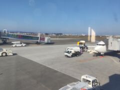 宮崎空港に到着しました。