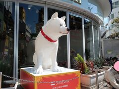 「ソフトバンク」の「お父さん犬」も中華街を応援しているよー！！。