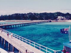 Cairns Marlin Marina（当時、流行したパノラマ画像）
クルーザーの発着マリーナまで車で送迎してくれました。