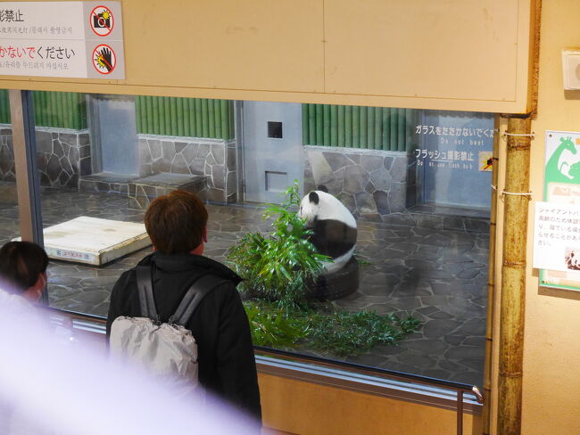 パンダの細道 お嬢様に逢いたくて 神戸 Vol 2 神戸 兵庫県 の旅行記 ブログ By のっこさん フォートラベル パンダの細道 お嬢様に逢いたくて 神戸 Vol 2 神戸 兵庫県 の旅行記 ブログ By のっこさん フォートラベル