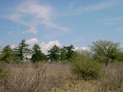 　八島湿原から一路北へ。群馬県の嬬恋村を通って万座温泉へ向かいました。