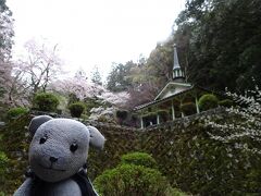 乙女峠のマリア聖堂周辺も早くも桜模様。