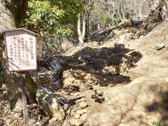 しばらく進むと牡丹岩の説明板があります。
足元の岩をよく見ると岩の中に牡丹の花のように見える球体がありました。