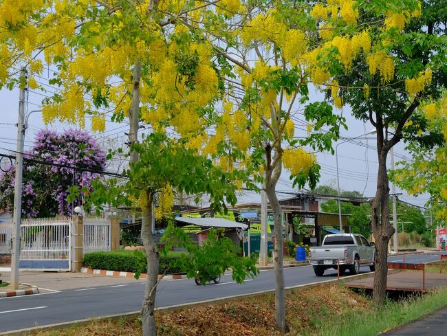 すべて車中からですので新しいカメラですが写りはご容赦願います。