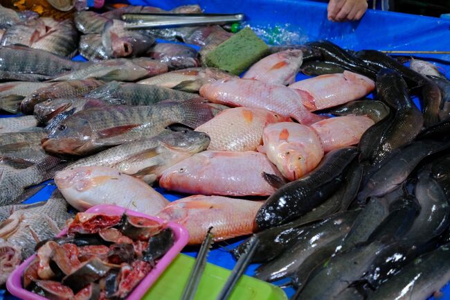 淡水魚の魚は生きています。1匹30バーッ～80バーッ程でしょう。