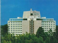 成田で前泊のプリンスホテル。現在は日航ウインズ成田からの東横イン成田に名称変更しています。
翌日、ホテルバスで空港まで一緒だった方は、空港のセキィリテイエリアでもホテルのスリッパをはいていたのでビックリ。(◎_◎)　多分機内を降りるまで靴は履きたくなかったんですかね～？(^_^;)