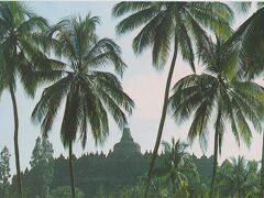 ジャングルの合間から遠くにボロブドゥール遺跡が見えてきました。
インドネシアは本来、イスラム教徒の多い国と聞いていますが、それにもかかわらずこれは世界三大仏教建築のひとつ。(◎_◎)