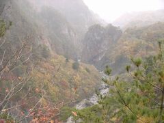 　２週間前は青空に紅葉が映えていたが、今日は曇りで雪まで降ってきました。