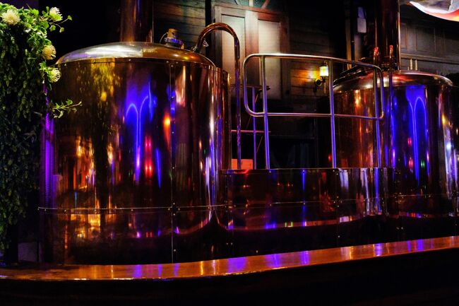 お客さんが少ないので初めて店内の写真を多く撮らせていただきました。