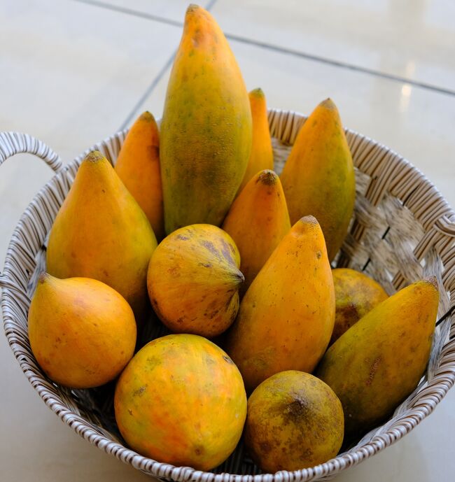 3月17日～の旅行で買ってきた一休が好きな果物【トオー】安くて良いのがありました。<br />今は時季外れかパタヤでは探すのも難しいですが1Kg80B、田舎の方では1Kg　35Bでした。しかも品物が良い。