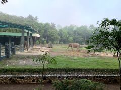 公園内を散歩、公園敷地内には象がいたり。