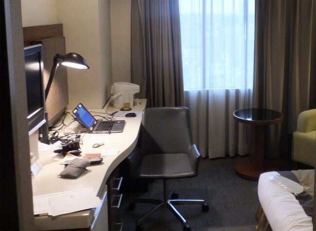 宿のパンフレットによると「ヨーロピアンエレガントがインテリアのコンセプト」とのことです。