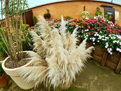 【アマンチキール植物園】

巨大なイギリス庭園や、モネの睡蓮をイメージした池、メキシコ庭園なんぞもあり、