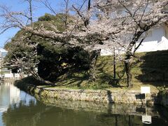 亀城公園。

亀のお城としたのは、由来があって。
この辺りは「霞ヶ浦」に近く、何度もお堀の水が溢れ、、というか、このお城はそもそも、城の周りを幾重にも堀を回した「水城ーみずじろ」だったそうですが、そうすると、季節によっては、ことあるごとに水が溢れる。

でも、城が堅ろうだったのでしょう、水に埋められてしまっても、その瓦屋根はしっかり水面に頭を見せていて、それが「カメ」のように見えた、とか。それで亀城だそうです。　
