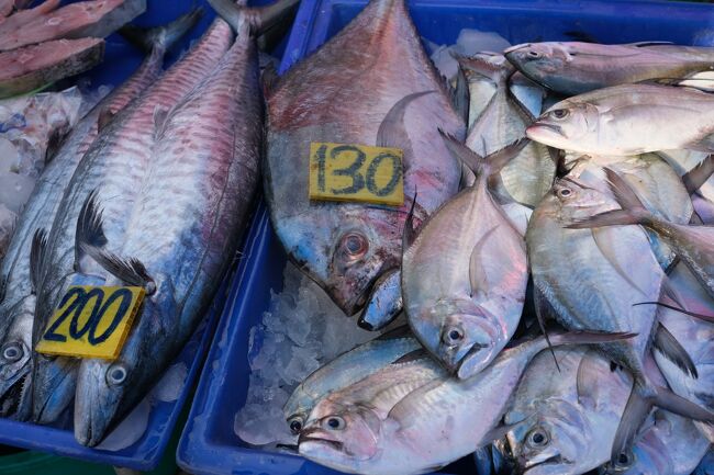 これは1Kgの値段です。