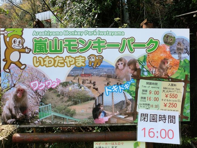 桜が満開の嵐山 モンキーパーク岩田山と天龍寺 嵐山 嵯峨野 太秦 桂 京都 の旅行記 ブログ By ホーミンさん フォートラベル 桜が満開の嵐山 モンキーパーク岩田山と天龍寺 嵐山 嵯峨野 太秦 桂 京都 の旅行記 ブログ By ホーミンさん フォートラベル