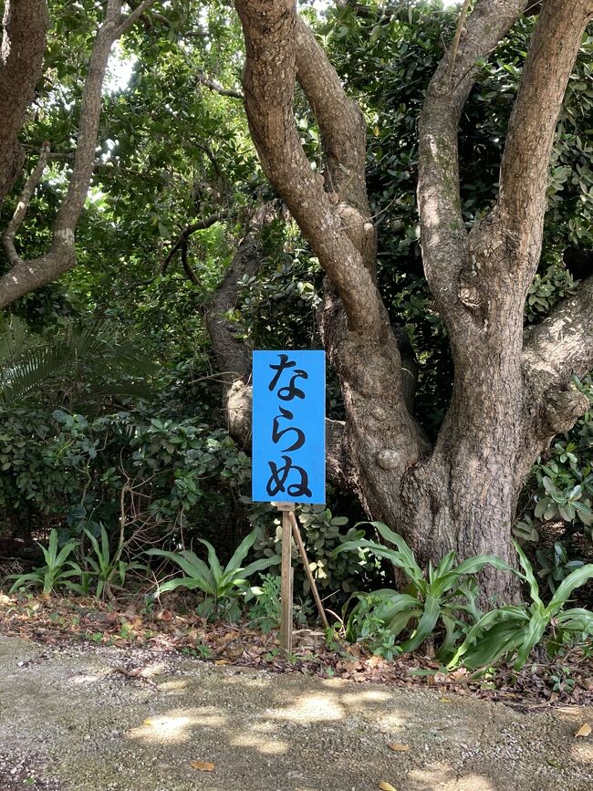 まだ海外には行けないので 石垣島へ女一人旅 4 竹富島 お土産編 竹富島 沖縄県 の旅行記 ブログ By Margeryさん フォートラベル