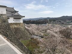 津山城、本丸多聞櫓跡からの眺め。