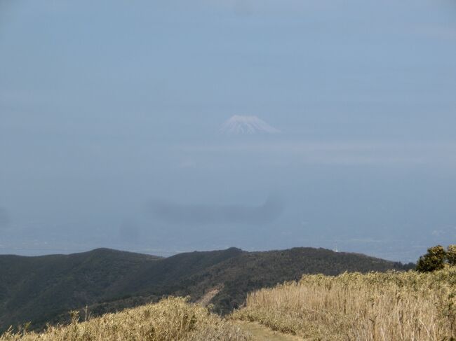 21春 伊豆 富士山は薄かった 富士山の見える山 金冠山と達磨山と戸田港 戸田 静岡県 の旅行記 ブログ By はんけんさん フォートラベル 21春 伊豆 富士山は薄かった 富士山の見える山 金冠山と達磨山と戸田港 戸田 静岡県 の旅行記 ブログ By はんけんさん フォートラベル