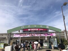 ありがたいことに隣接するエキスポシティの駐車場は、土曜日は平日扱いで2時間無料です。
プラス会員カードで+1時間ですので、利用させて頂きました。

また自然文化圏への入場券も割引適用されています。