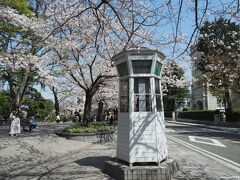 山手本通り　元町公園の電話ボックスと桜

山手234番館前にあるレトロな電話ボックス。
さくらと一緒に撮影する人気スポットです。