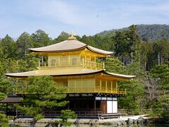 真っキンキン。

コロナがなければ、
これを見ずに死ぬところだった。