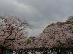 上野恩賜公園