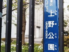 谷中霊園から南へ走り、言問通りを横切って直進すると上野公園へ続く一本道となります。一方通行が終わる交差点の向こう左右が芸大です。12は勿論左側、音楽学部