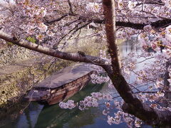 これぞ、THE ニッポンの春!というような写真が撮れてちょっとテンション上がりました。　水門川がイイ味出してます。