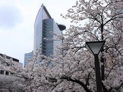 下流の太鼓橋まで行ってみました　サクラ越しのアルコタワー