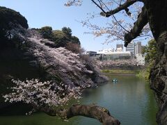 桜がきれいで、写真スポットとしてお勧めです。