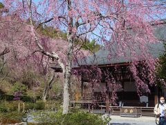 天龍寺