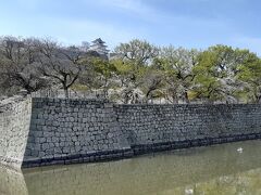 この日は高知まで移動します。

丸亀・大歩危小歩危に途中立ち寄る予定でした。

まずは丸亀。
桜の咲いている場所だけを狙ったので、丸亀城。

こんな平地に、なんで山城があるんでしょ。
お城までのエスカレーターも無かったので、行くのは断念しました。