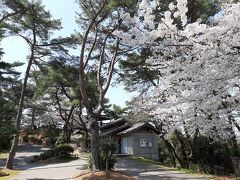 銭形砂絵は、琴弾山から見るのが良いです。

一方通行の車道が整備されています。