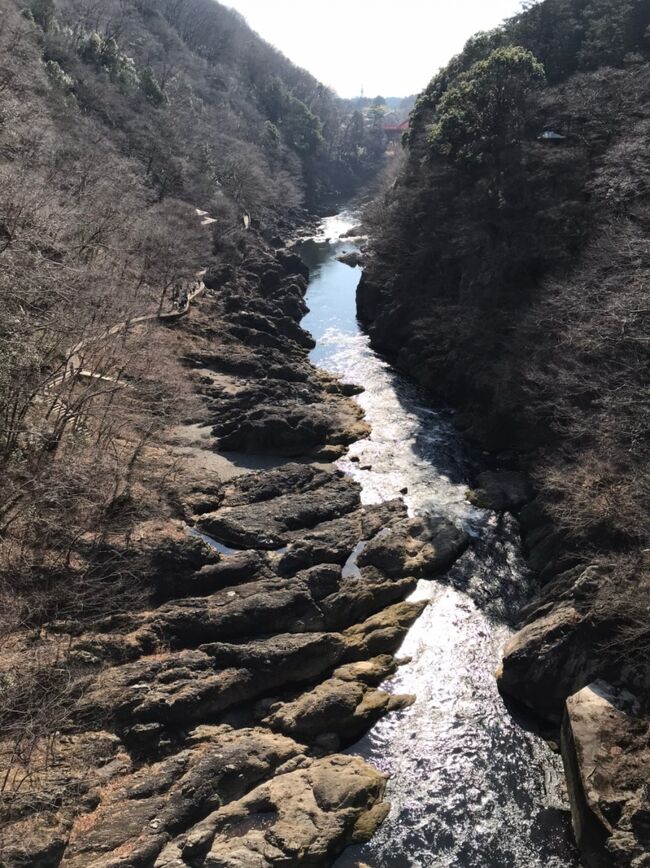 橋からの風景。