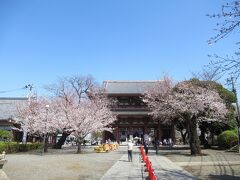 「池上本門寺」