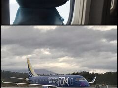 ＜青森空港＞
照ちゃん、お天気にしてね！青森空港は雨(-_-;)
FDAって飛行機会社初めて知りました。いつか乗りたい。羽田は飛んでないみたい。