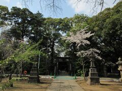 「赤坂氷川神社」