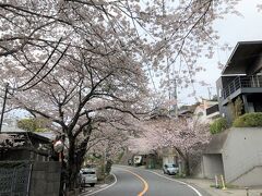 バスも通る片側１車線の道路なので、歩きやすくはない道です。