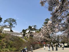 本丸東堀前から見た、本丸の櫓。